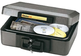 Caisson ignifuge pour supports informatiques SentrySafe 2460
