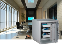 Armoire ignifuge informatique Hartmann Tresore Media Protect