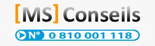 MS Conseils