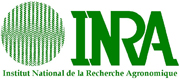 Institut Scientifique de Recherche Agronomique